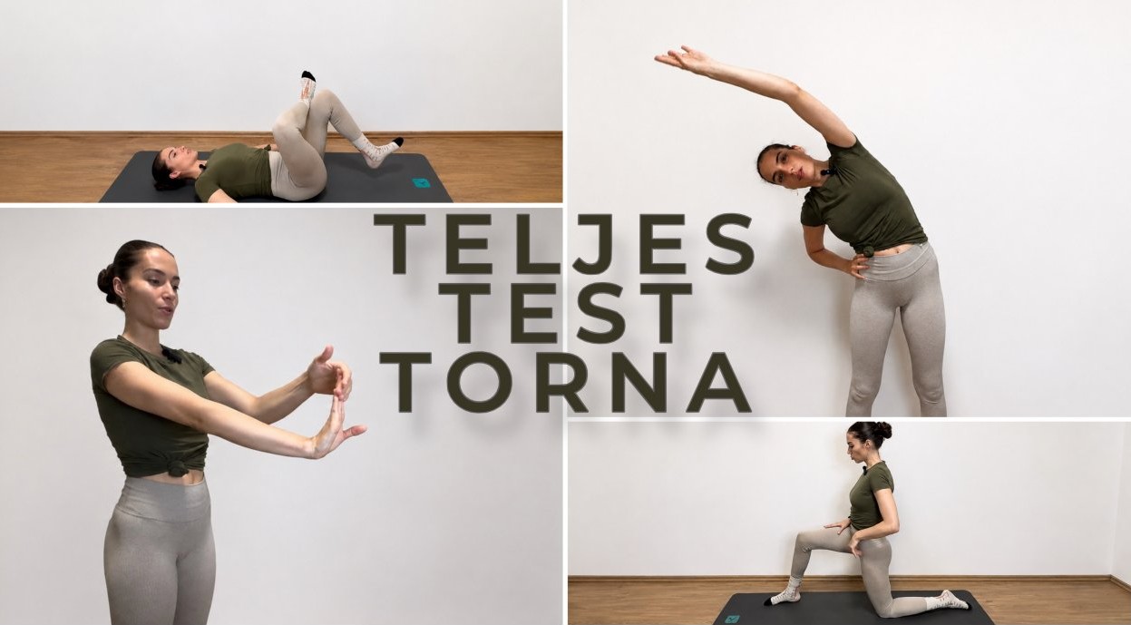 Teljes Test Torna borítókép